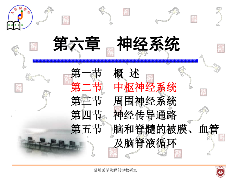 系统解剖课件：中枢神经系统.ppt_第1页