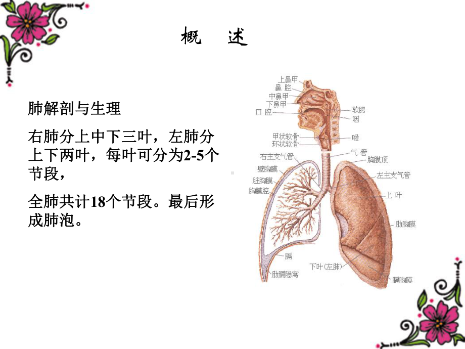 （核医学）第九章 肺和下肢深静脉显像.ppt_第2页