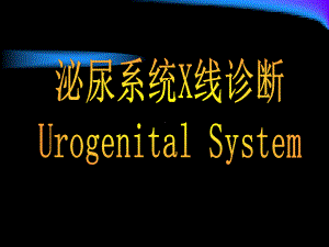 泌尿系统疾病 2.ppt