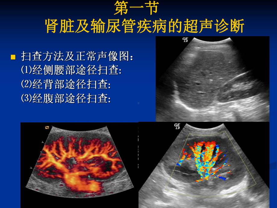 泌尿系统课件：8年制-泌尿系.ppt_第2页