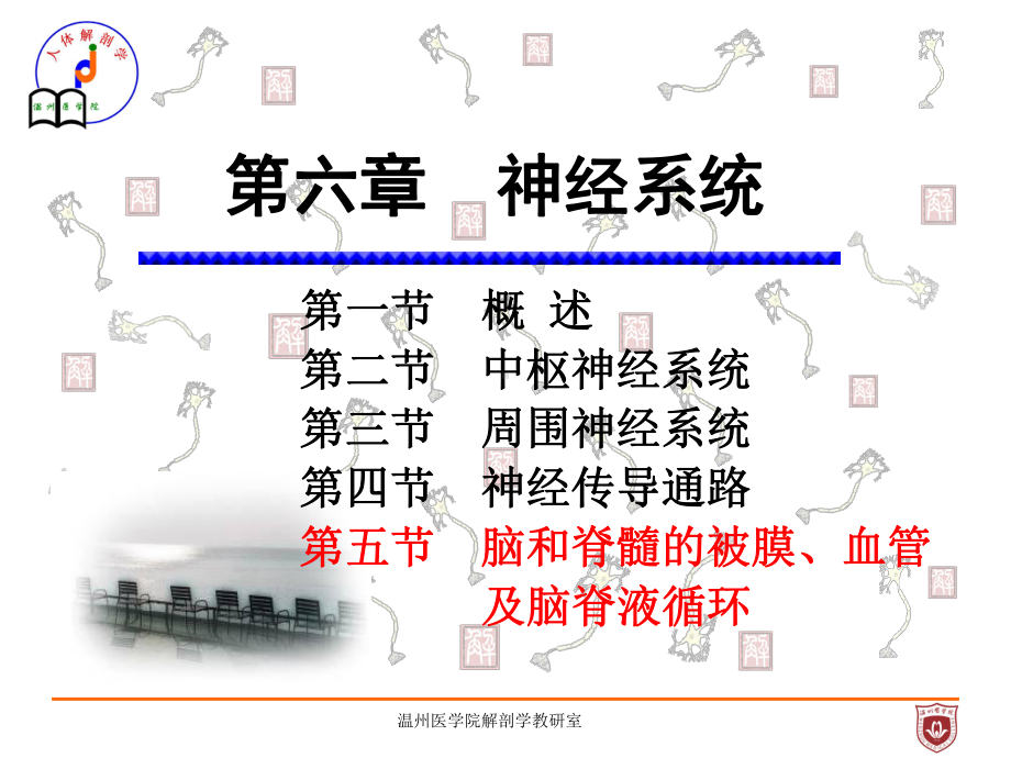 系统解剖课件：脑脊被膜、血管及CSF循环.ppt_第1页