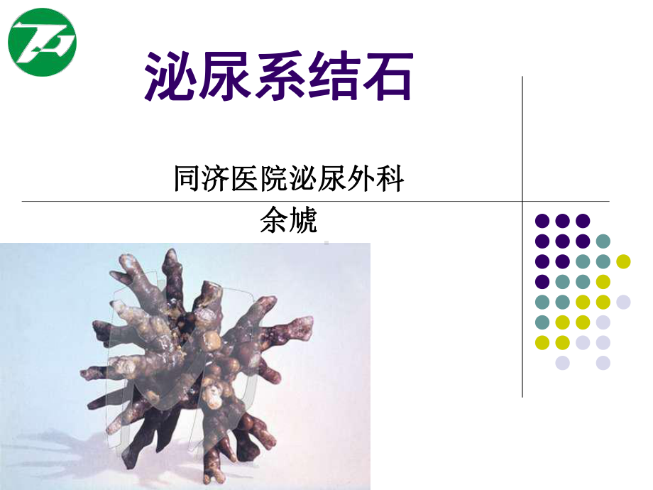 泌尿系结石课件：泌尿系结石.ppt_第1页