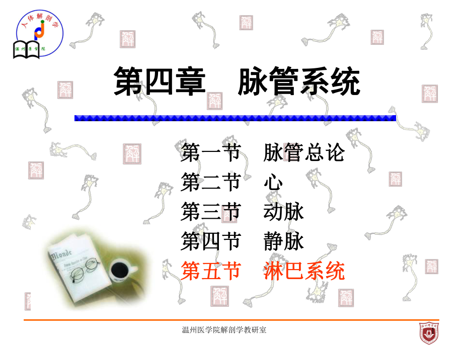 系统解剖课件：淋巴.ppt_第1页