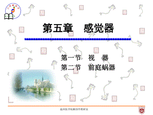 系统解剖课件：第五章 感觉器.ppt