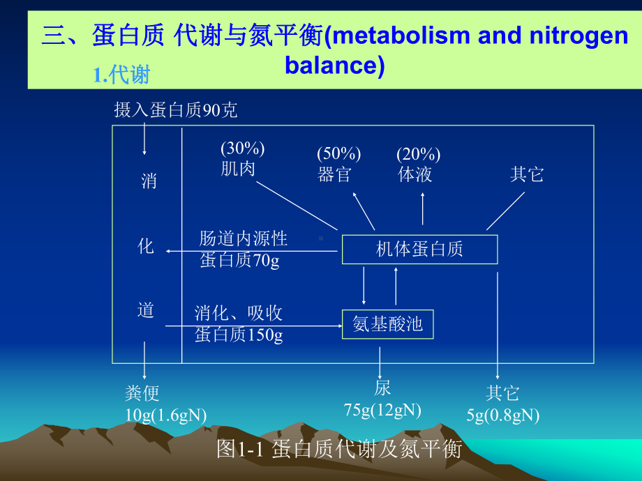 预防医学课件：预防医学2.ppt_第1页