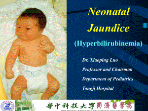 消化系统儿科学课件：NB-Jaundice.ppt