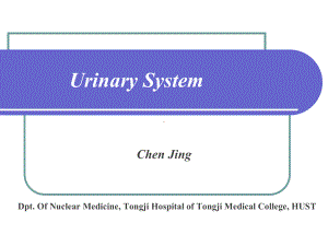 泌尿系统（1学时）.ppt