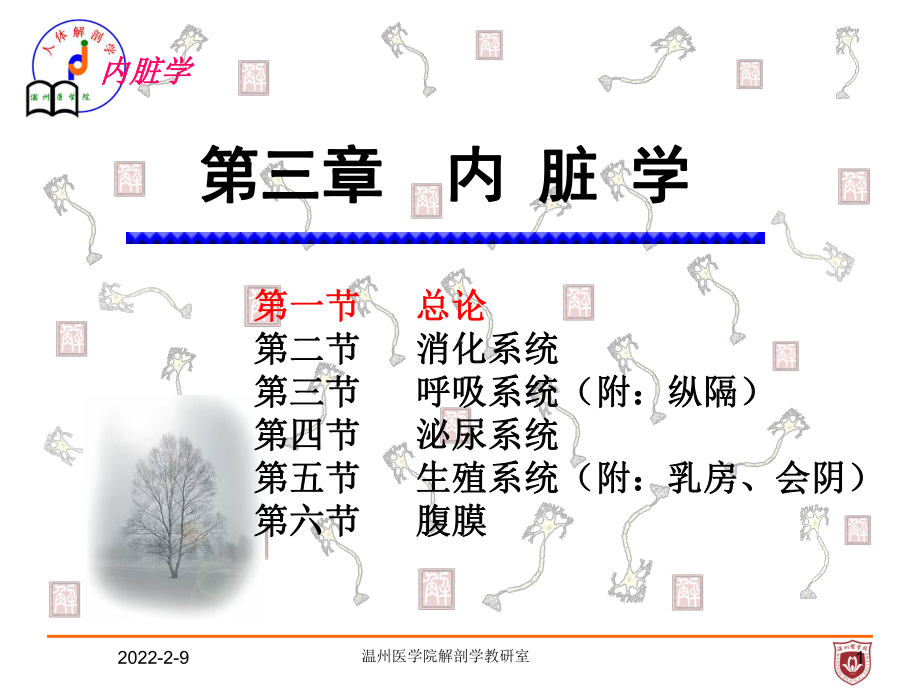 系统解剖课件：内脏总论.ppt_第1页