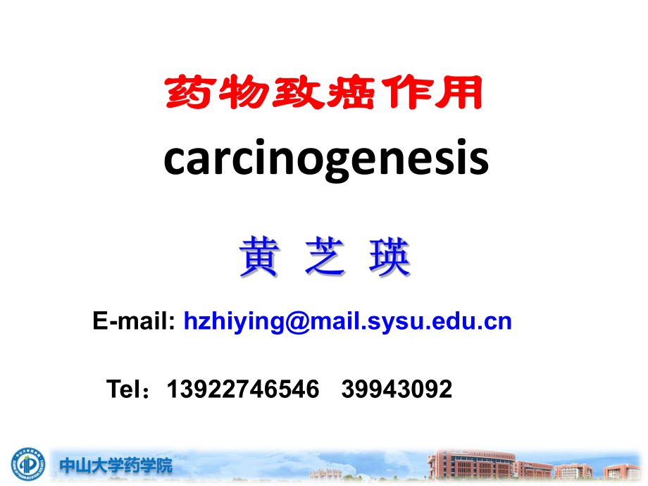 药物毒理学课件：carcinogeneciity study .pptx_第1页