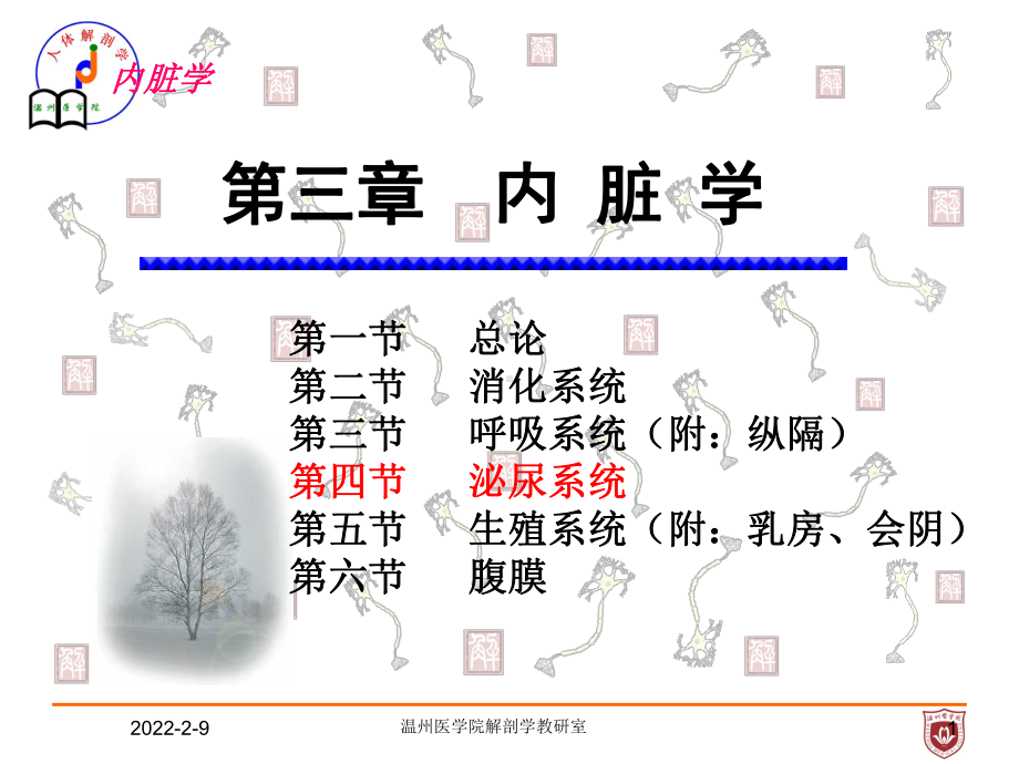 系统解剖课件：泌尿.ppt_第1页