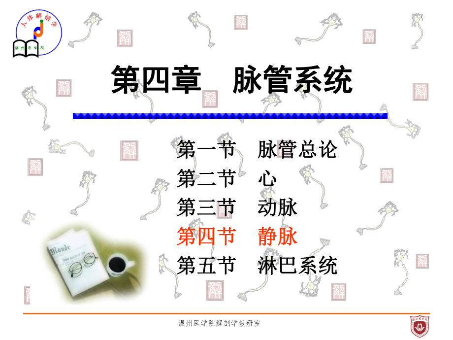 系统解剖课件：静脉.ppt_第1页