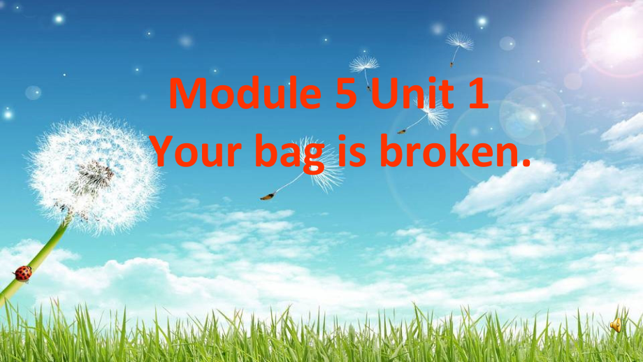 Module 5-Unit 1 Your bag is broken.-ppt课件-(含教案)-县级公开课-外研版（一起）五年级下册-(编号：608a1).zip