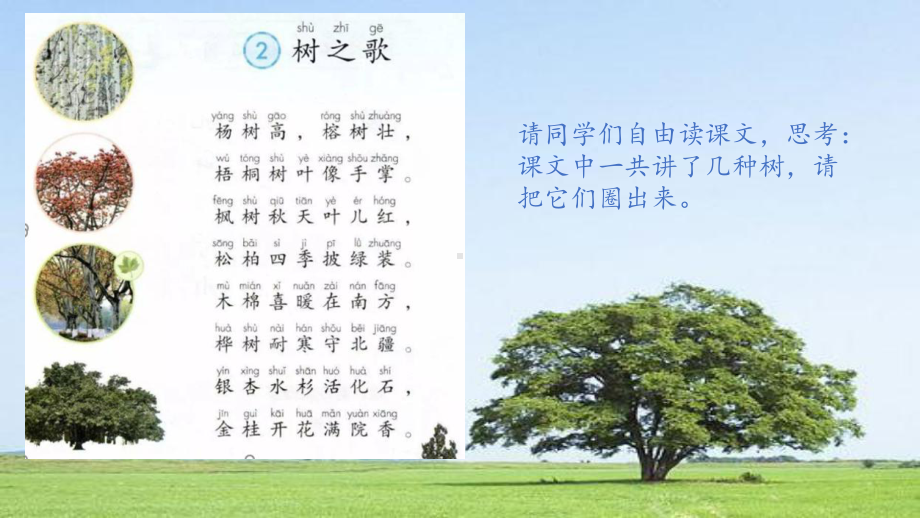 部编版二年级上册语文识字2《树之歌》（第一课时）教学课件.pptx_第2页