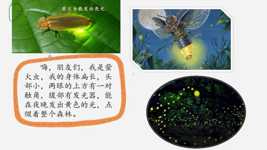 部编版二年级上册语文口语交际.有趣的动物课件（16页）.pptx_第2页