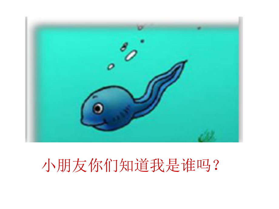 部编版二年级上册语文 1 小蝌蚪找妈妈 课件（15页）.pptx_第2页