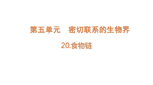 2022新青岛版（六三制） 五年级下册科学20.食物链 ppt课件.pptx