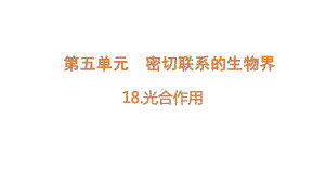 2022新青岛版（六三制） 五年级下册科学18.光合作用 ppt课件.pptx