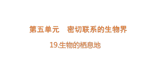 2022新青岛版（六三制） 五年级下册科学19.生物的栖息地 ppt课件.pptx