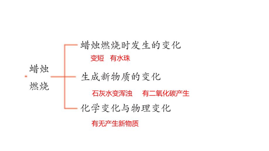 2022新青岛版（六三制）五年级下册科学第六单元复习 ppt课件.pptx_第3页