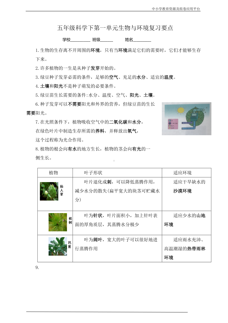 2022新教科版五年级下册科学第一单元生物与环境复习要点.doc_第1页