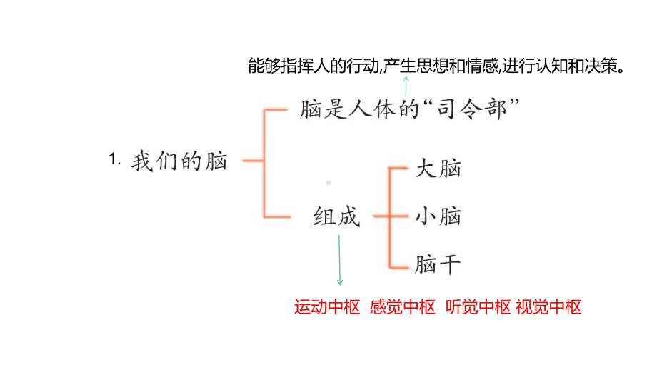 2022新青岛版（六三制）五年级下册科学第一单元 心和脑 复习ppt课件.pptx_第3页