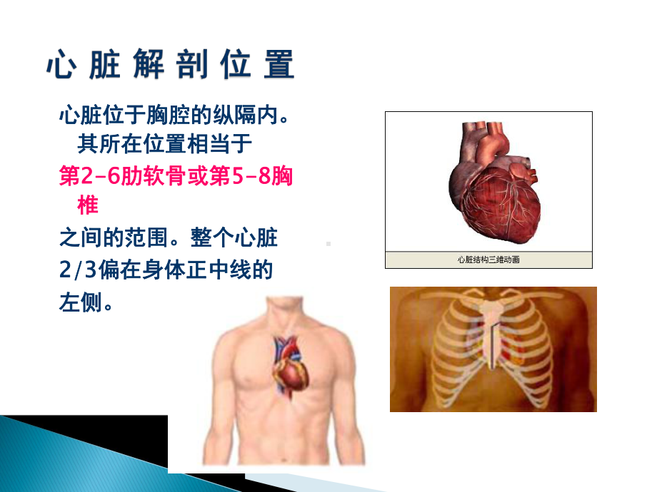 心脏解剖影像和心律失常的导管消融优质PPT课件.pptx_第2页