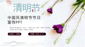 简结中国二十四节气清明节节日宣传PPT.pptx