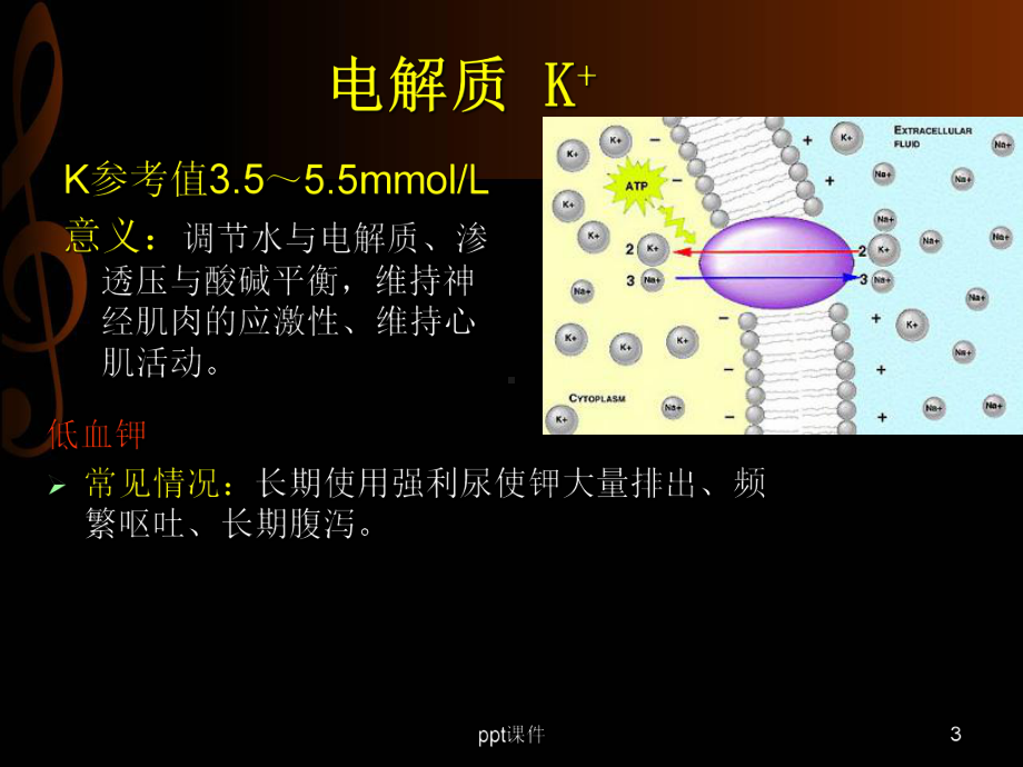 心内科常见检查及其意义-ppt课件.pptx_第3页