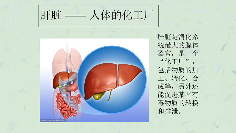 慢性乙型病毒性肝炎课件.ppt_第2页