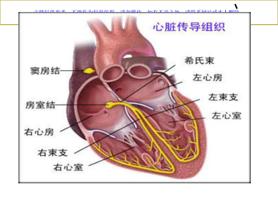 心电图基本知识课件.ppt_第2页