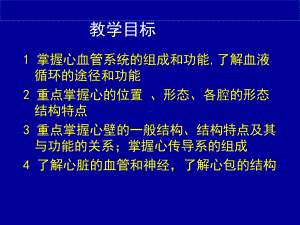 心血管系统专业医学知识宣讲课件.ppt