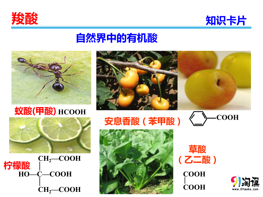（人教版 高中化学选修5 PPT课件） 3.3.1羧酸.pptx_第3页