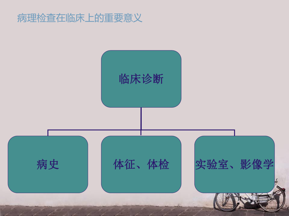 恶性肿瘤病理检查的临床意义-ppt课件.ppt_第2页