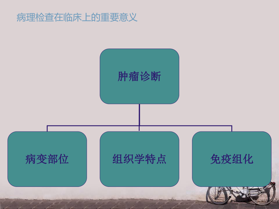 恶性肿瘤病理检查的临床意义-ppt课件.ppt_第3页