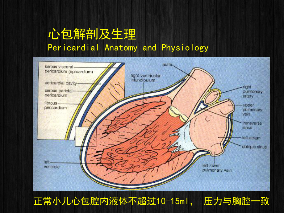 急性心包炎-ppt课件.ppt_第3页