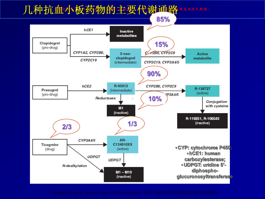 抗血小板治疗争议和选择课件.ppt_第3页