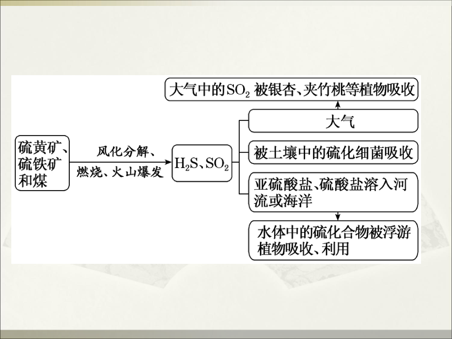 专题四 第三单元 防治二氧化硫对环境的污染 ppt课件-（2020）新苏教版高中化学必修第一册.ppt_第3页