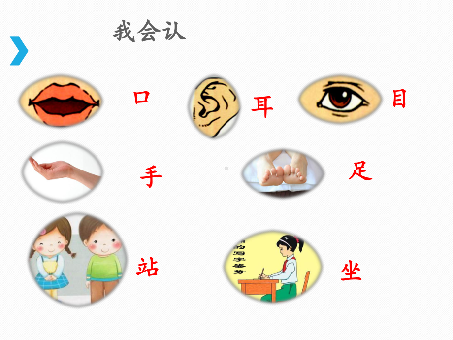 部编版一年级上册语文 -《口耳目》课件（第一课时）.ppt_第3页