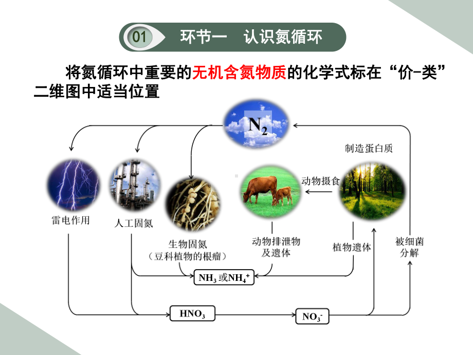 专题七氮与社会可持续发展-氮的固定ppt课件-（2020）新苏教版高中化学高一下学期必修第二册 (1).pptx_第3页