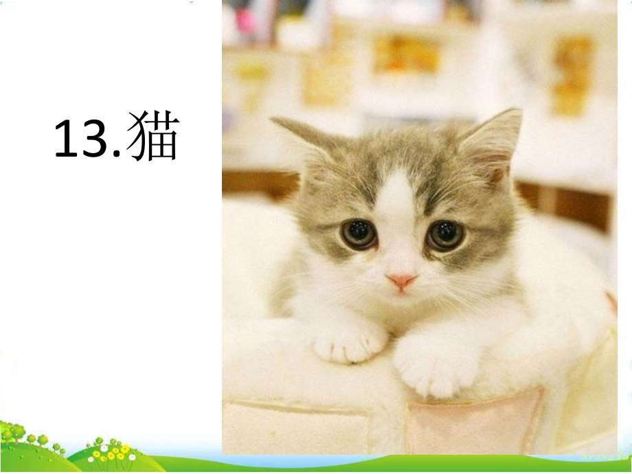 13猫（课件）-四年级语文下册(9).pptx_第1页