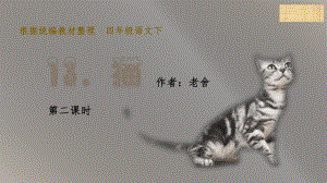 13猫（课件）-四年级语文下册(4).pptx