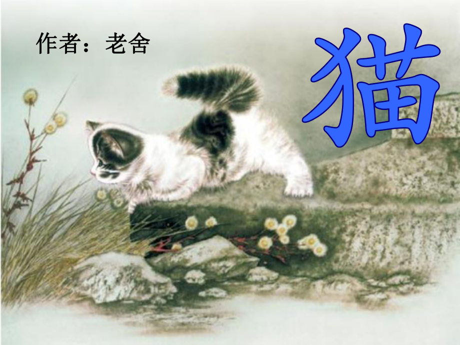 13猫（课件）-四年级语文下册(3).ppt_第1页