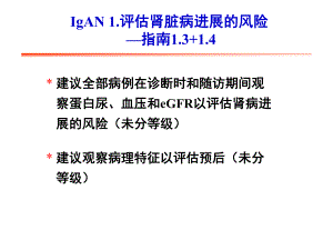 KDIGO临床指南IgA肾病的治疗主题讲座课件(共20张).ppt