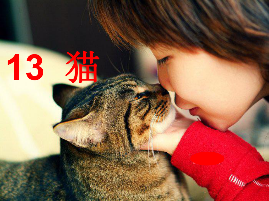 13猫（课件）-四年级语文下册(5).ppt_第1页