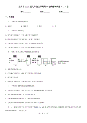 拉萨市2020版九年级上学期期末考试化学试题(II)卷(模拟).doc