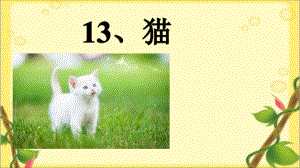 13猫（课件）-四年级语文下册(7).pptx