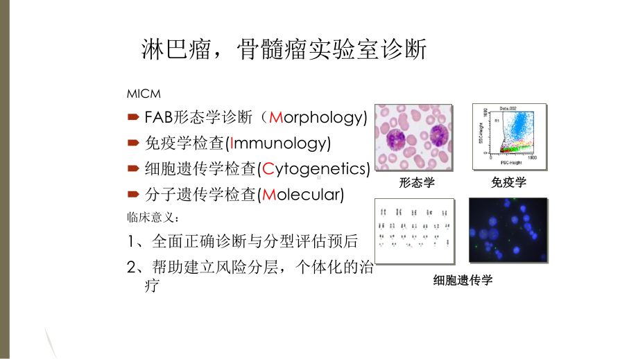 FISH检测在淋巴瘤骨髓瘤个体化治疗中的应用主题讲座课件(共23张).ppt_第2页