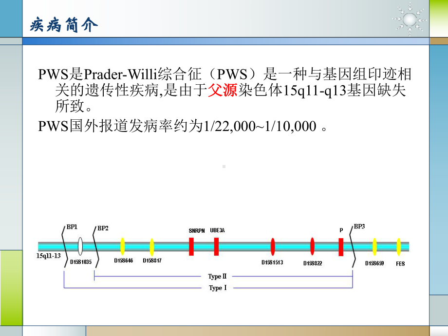 PraderWilli综合征主题讲座课件(共6张).ppt_第1页