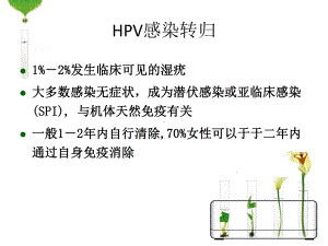 HPV感染和宫颈癌的宣传资料主题讲座课件(共24张).ppt