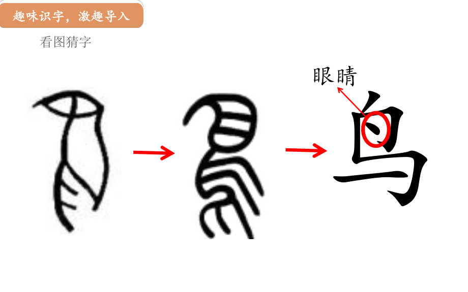 部编版一年级上册语文 13.乌鸦喝水（第1课时） 公开课课件.pptx_第3页